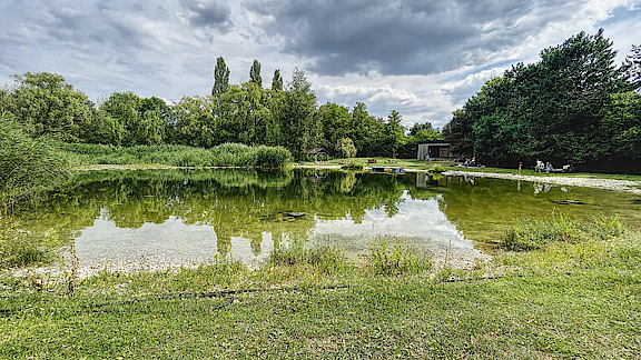 zurndorf_lake.jpg 
