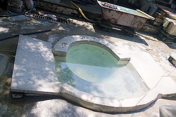 D40A4895-wV.jpg 