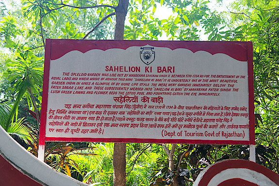 D40A3709-wV.jpg 