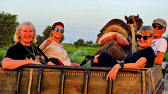 14.09.2025_J-INDIEN-CAMEL_RIDE-00010.jpg 