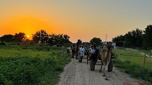 14.09.2025_J-INDIEN-CAMEL_RIDE-00012.jpg 