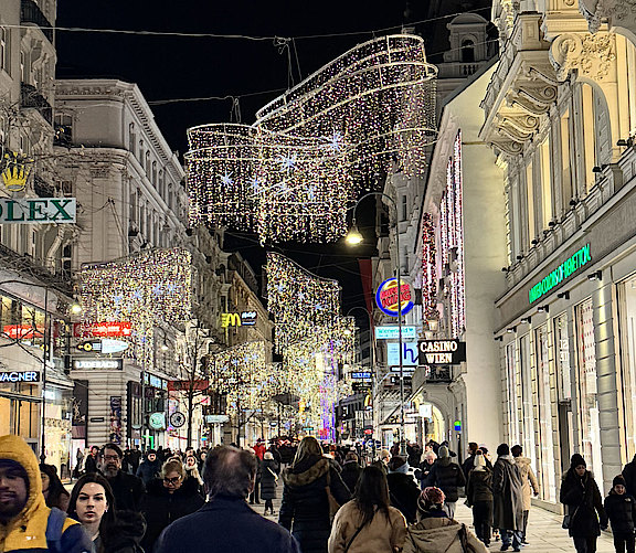 Kaerntner_Strasse_Nov_2024.jpg