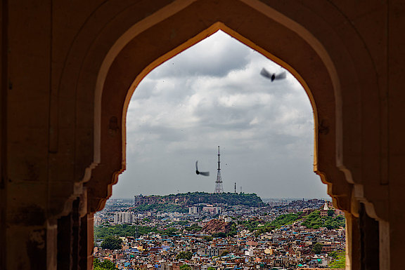 D40A3321-wV.jpg 
